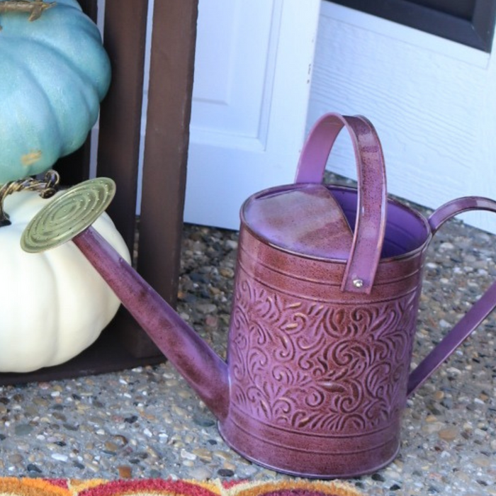 Morgan Watering Cans - Robert Allen Home & Garden