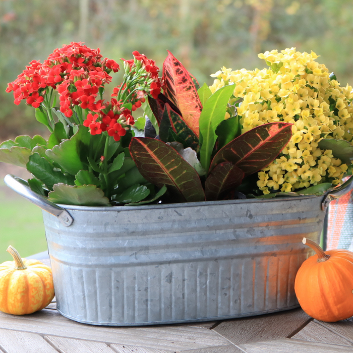 IronLite™ Galvanized Oval Tub Planter