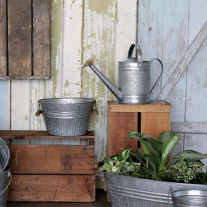 Jameson Watering Can