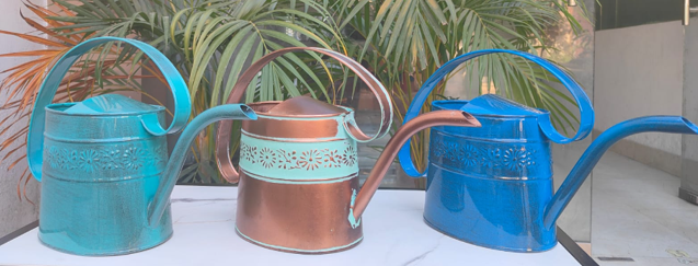 IronLite™ Willow Watering Cans - Half Gallon