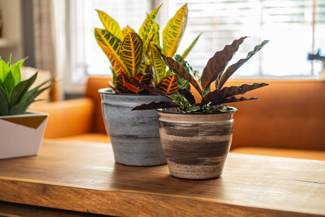 IronStone® Vanhorne Planters