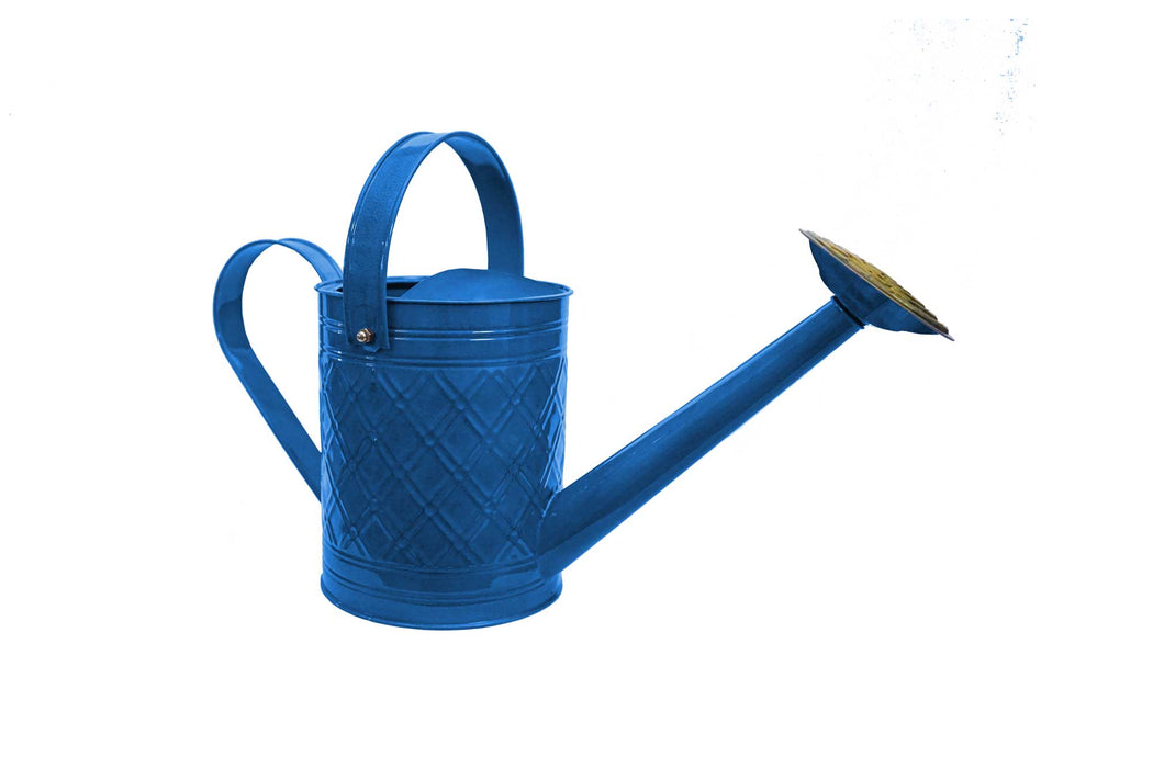 IronLite™ Cortland Watering Cans - 1 Gallon