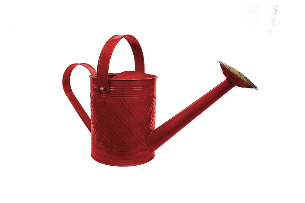 IronLite™ Cortland Watering Cans - 1 Gallon