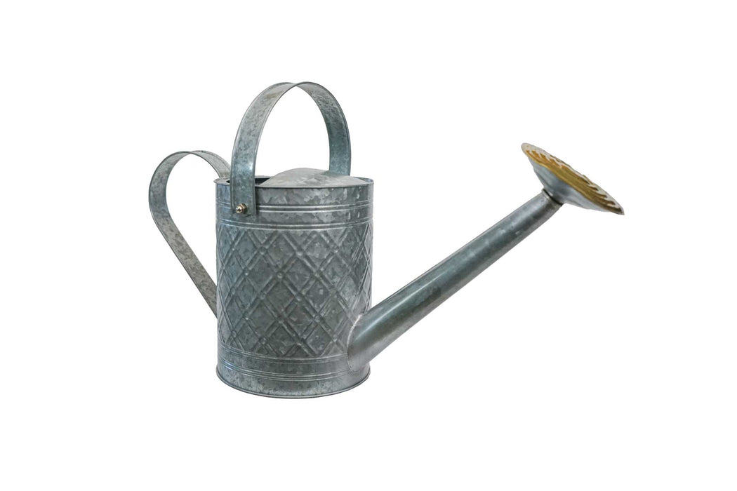 IronLite™ Cortland Watering Cans - 1 Gallon