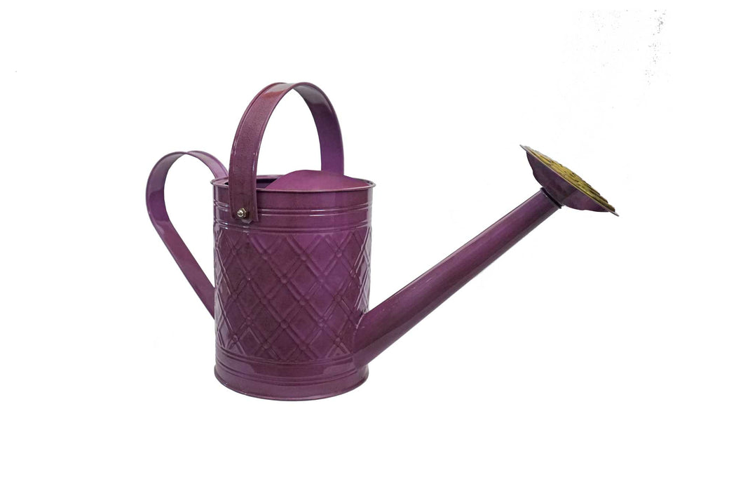 IronLite™ Cortland Watering Cans - 1 Gallon