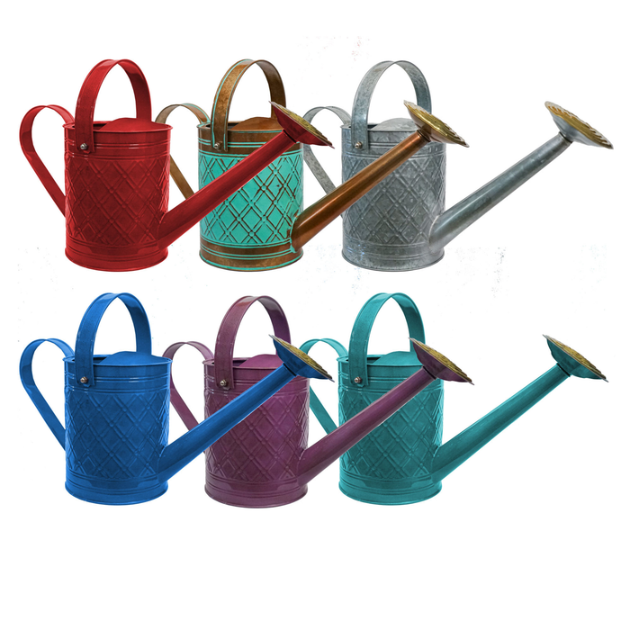 IronLite™ Cortland Watering Cans - 1 Gallon