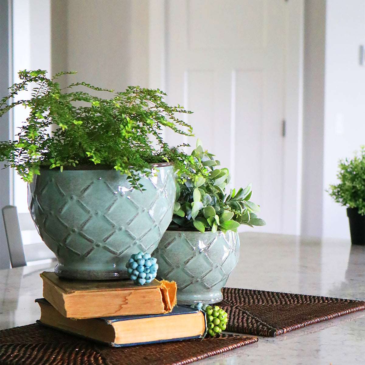indoor plant lattice Lattice Planter, Lightweight, Weatherproof