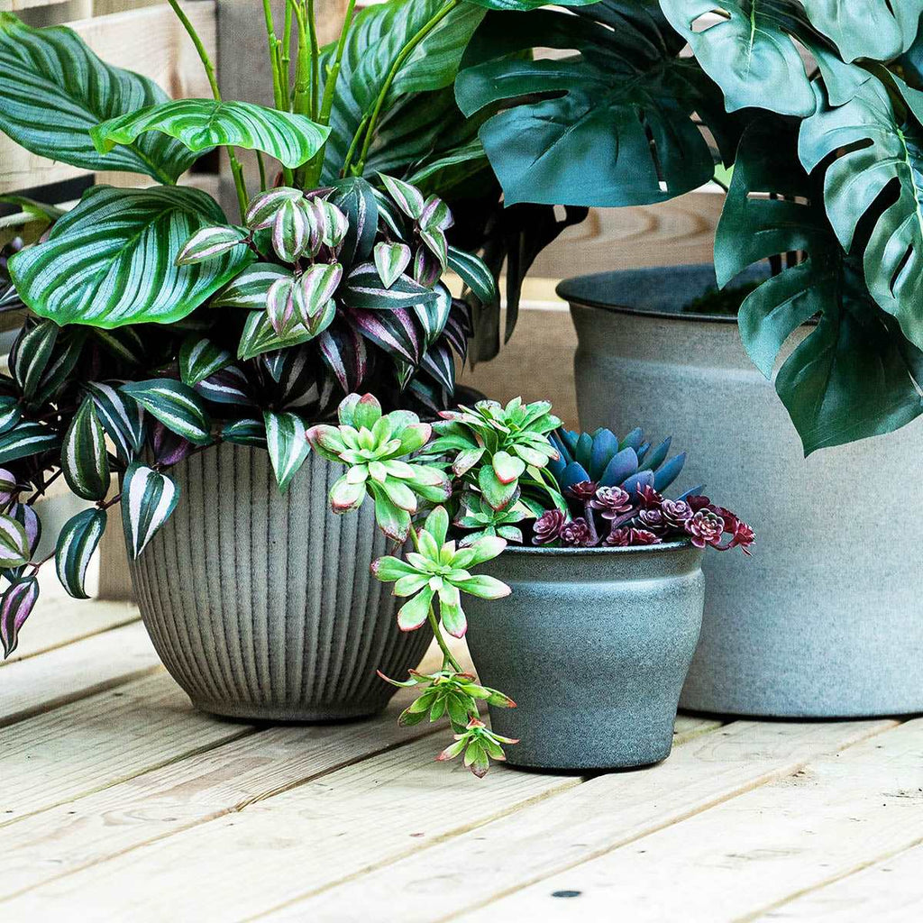 Robert Allen - IronStone Planters and Watering Cans — Robert Allen Home ...