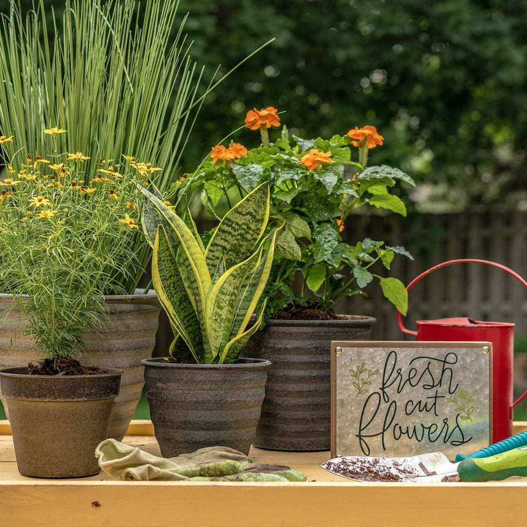 Robert Allen - IronStone Planters and Watering Cans — Robert Allen Home ...