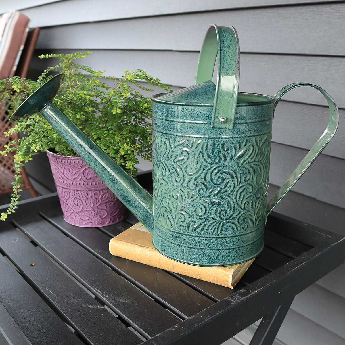 metal house plant watering can Metal Watering Can, Durable, Vibrant